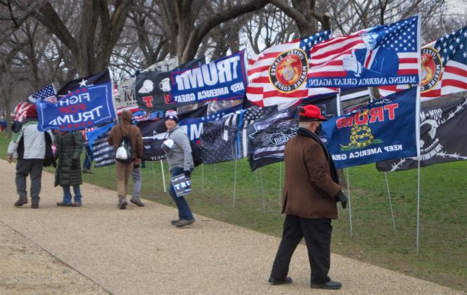 Different right-wing flags on the grounds of the Capitol