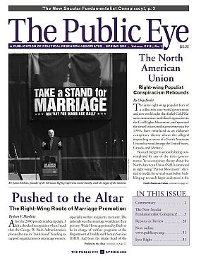 The Public Eye, Spring 2008 cover