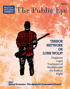 The Public Eye, Spring 2015 cover