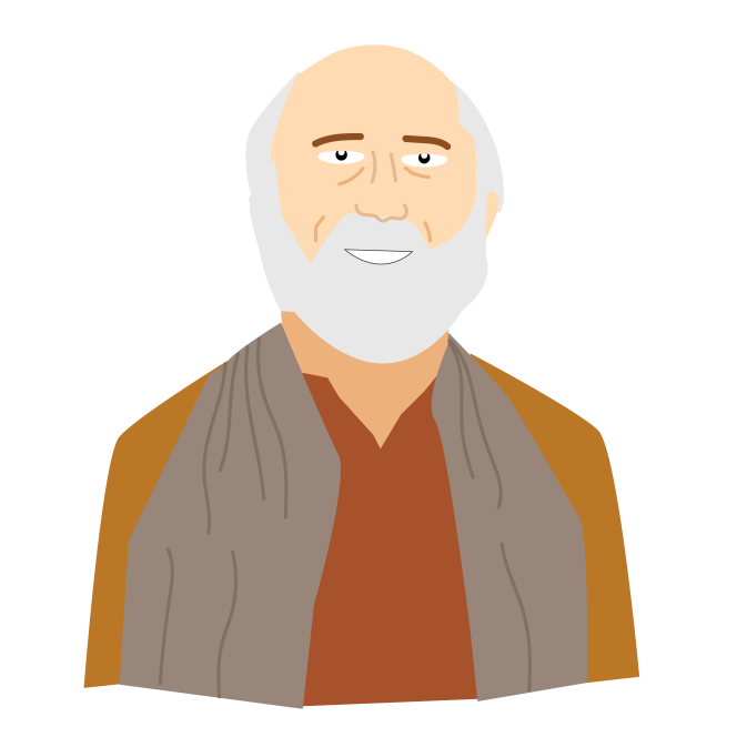 illustration of David Frawley