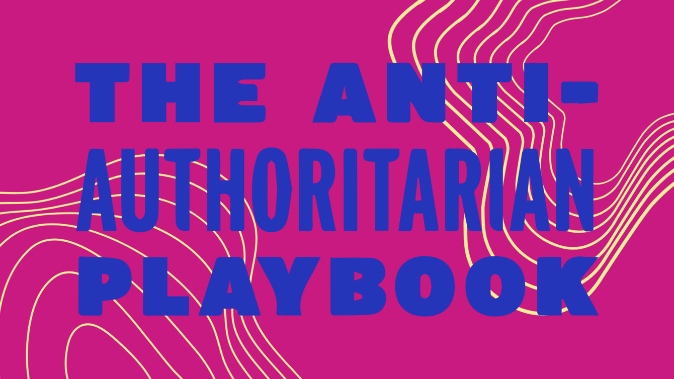 A pink background with yellow lines, and the words "The Anti-Authoritarian Playbook" in blue.