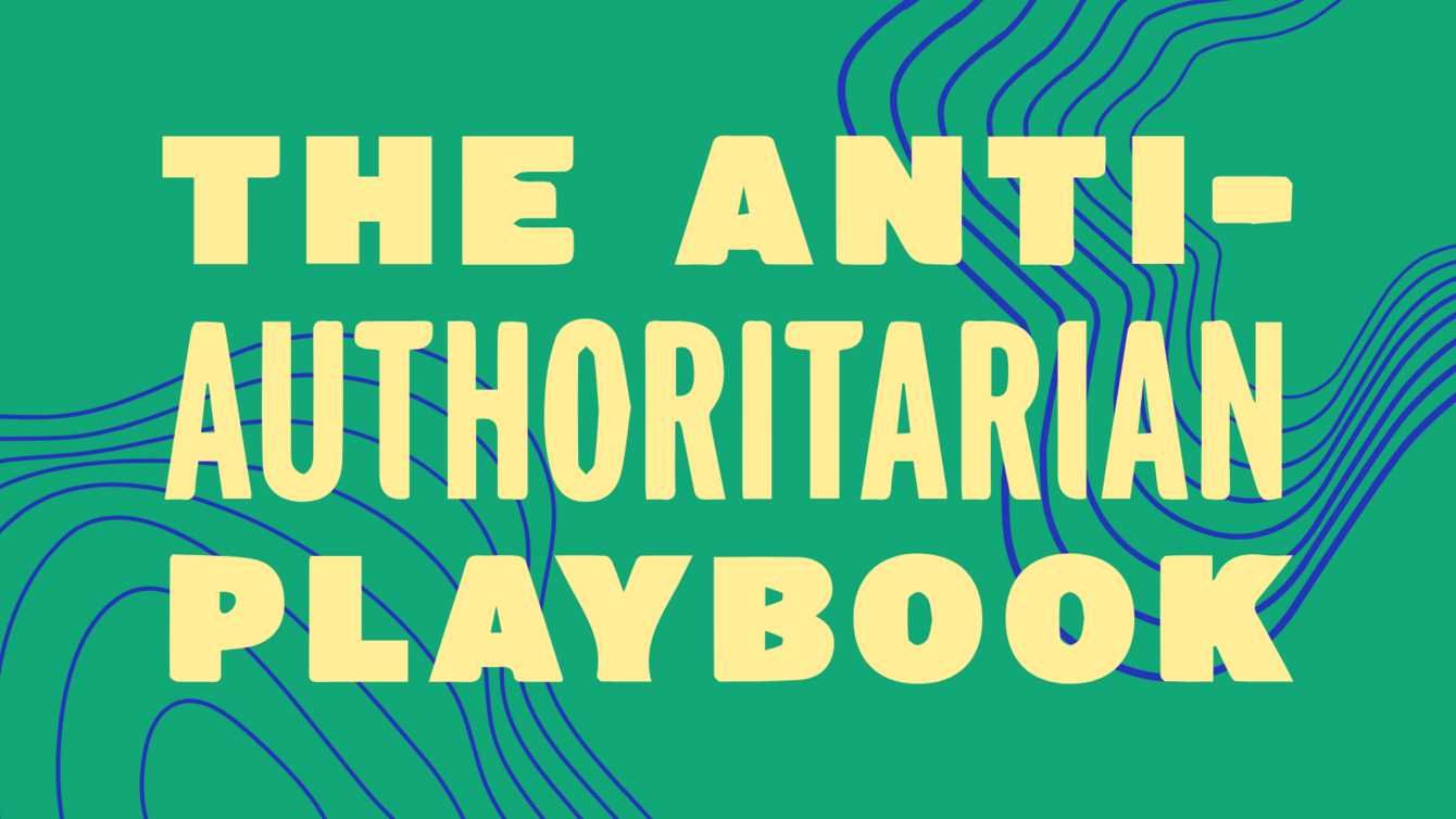 The Anti-Authoritarian Playbook
