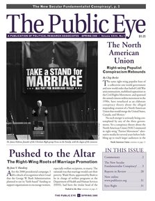 The Public Eye, Spring 2008 cover