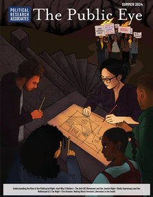 Cover of The Public Eye