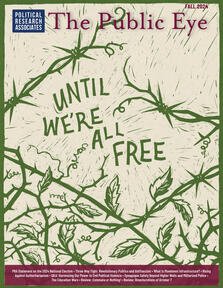 Cover of The Public Eye