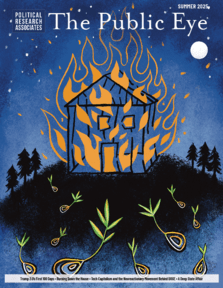 an illustration of a house frame on fire, and seeds sprouting on the ground.