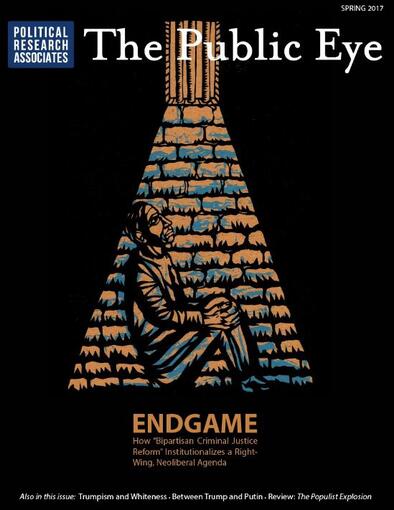 The Public Eye, Spring 2017 cover