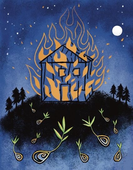 an illustration of a house on fire with sprouted seeds at the bottom