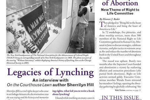 The Public Eye, Fall 2007 cover