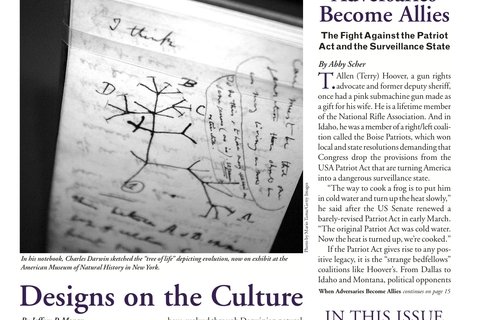 The Public Eye, Spring 2006 cover