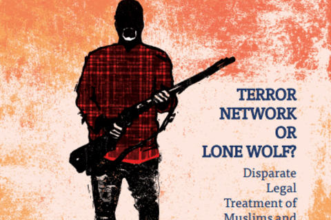 The Public Eye, Spring 2015 cover