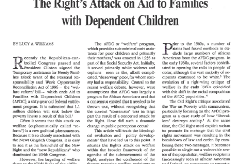 The Public Eye, Fall/Winter 1996 cover