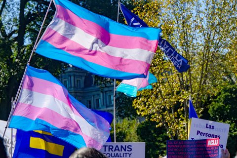 Two transgender flags flying. 