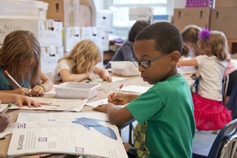 A young boy with glasses in a school, looking at a book.