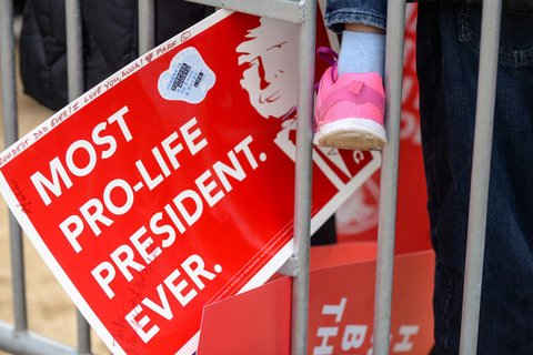 A protest sign saying "Most Pro-Life President Ever."