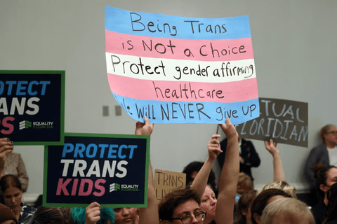 A trans flag protest sign that reads "being trans is not a choice. Protect gender affirming healtchcare. We will never give up."