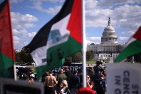 The Capitol in the background with Palestinian flags in the foreground.