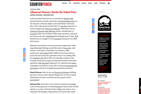 screenshot of Counter Punch