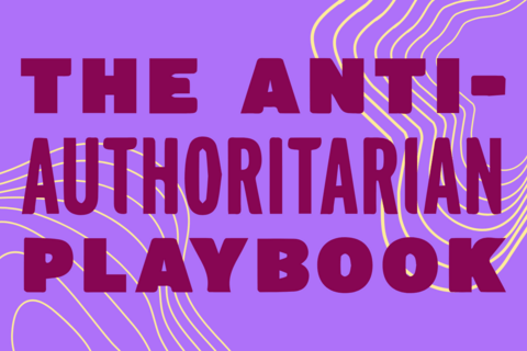 A purple background with a yellow line pattern and the words Anti-Authoritarian Playbook