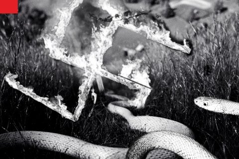 a swastika burning with snakes in the foreground