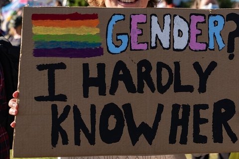 Protest sign of rainbow flag and "Gender? I hardly know her."