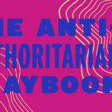 A pink background with yellow lines, and the words "The Anti-Authoritarian Playbook" in blue.