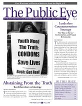 The Public Eye, Fall 2008 cover
