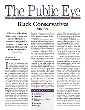 The Public Eye, December 1993 cover