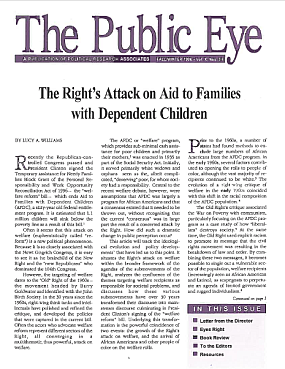 The Public Eye, Fall/Winter 1996 cover