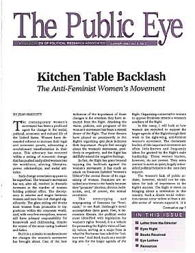 The Public Eye, Summer 1996 cover