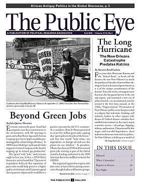 The Public Eye, Fall 2010 cover