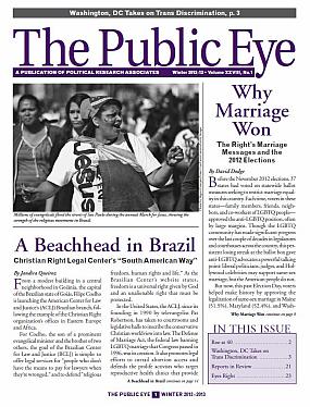 The Public Eye, Winter 2013 cover