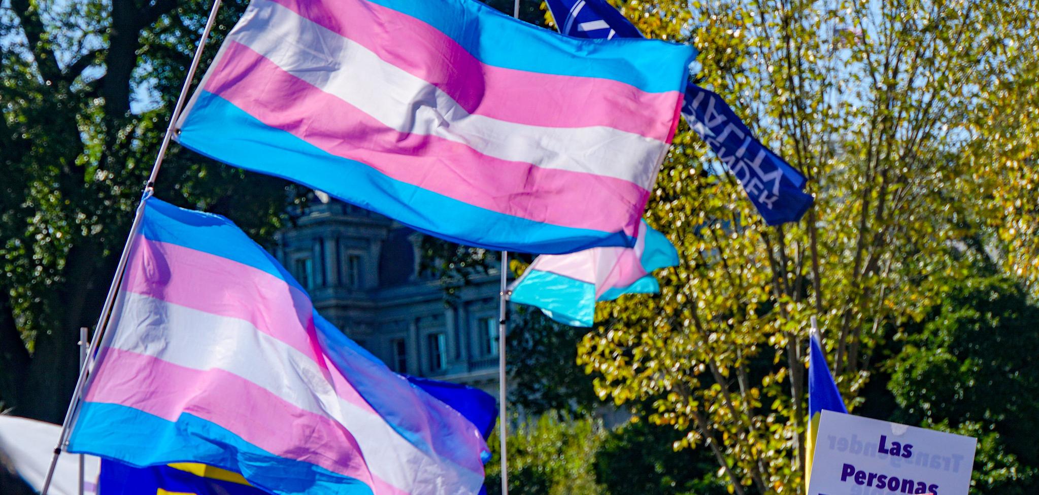 Two transgender flags flying. 